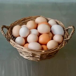 Свежие куриные яйца