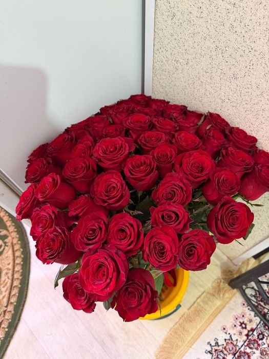 Роза 51 шт красный цветы