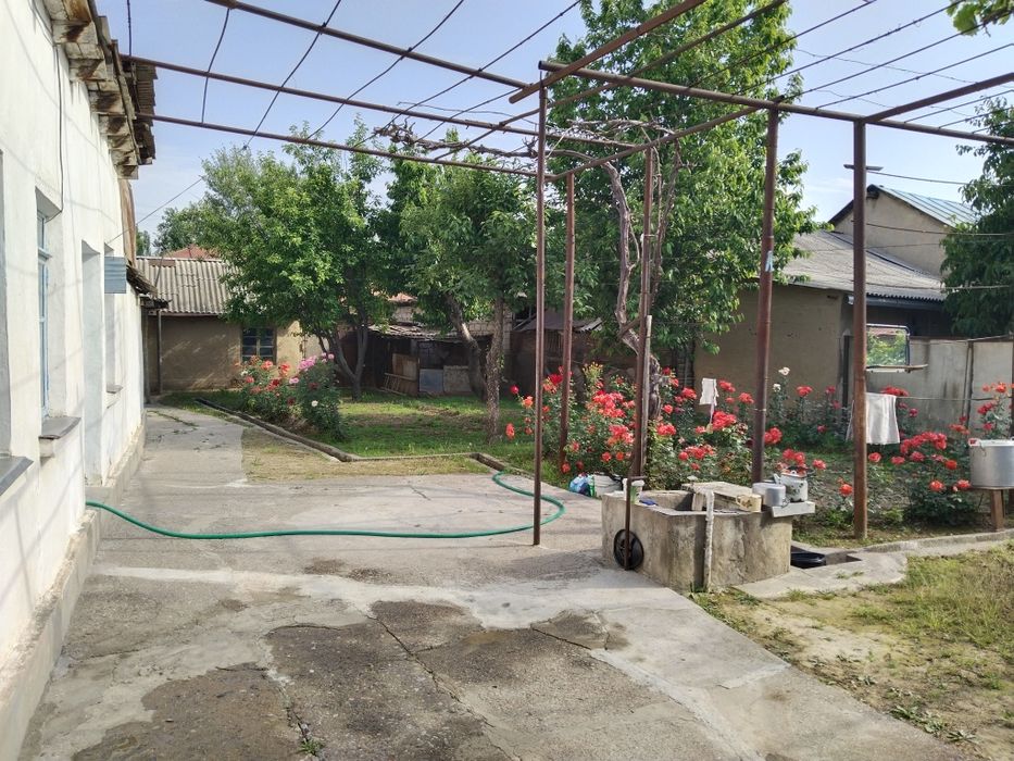 Uchaska sotiladi 6,5 sotix srochna narxi keliwiladi yana