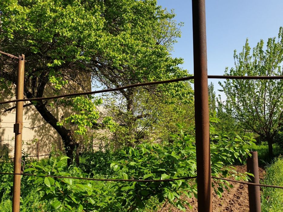 Дача 10 соток в г. Ангрен