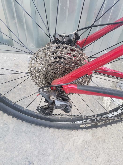 Vitus nucleus 29 L