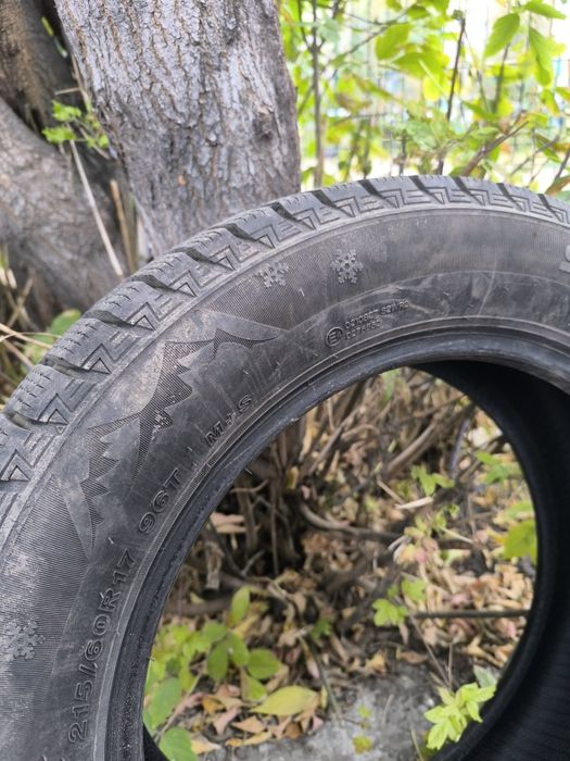 Шины зима липучка 215/60 R17