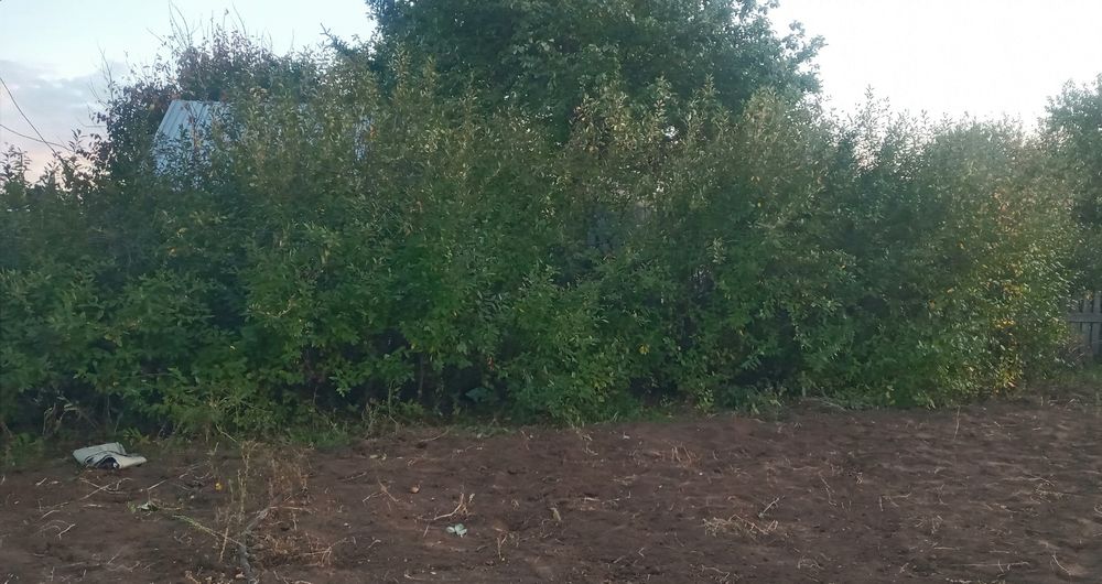 Продаю дачу в Ромашке