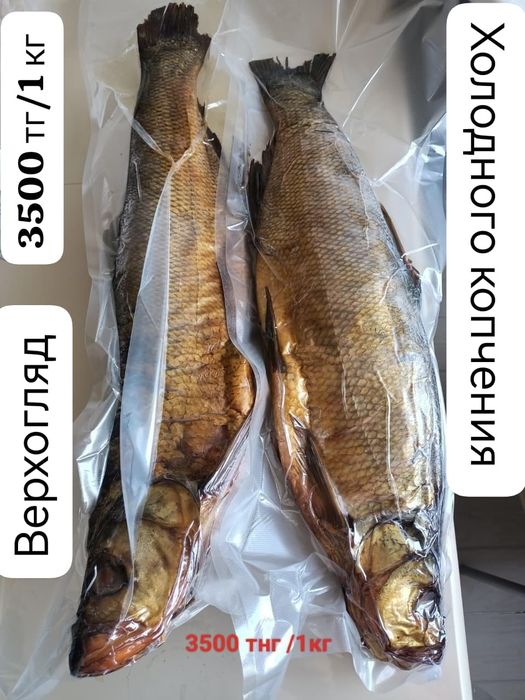 Рыба холодного копчения