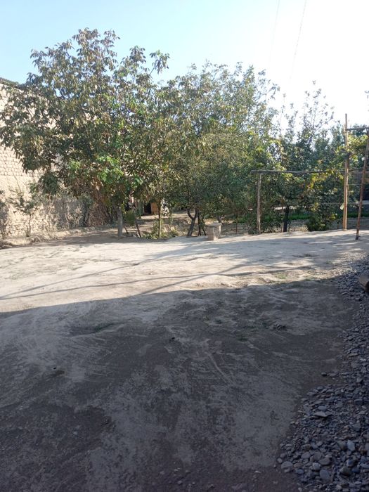 15/40метир атрофи уралган мевали дарахтлари бор