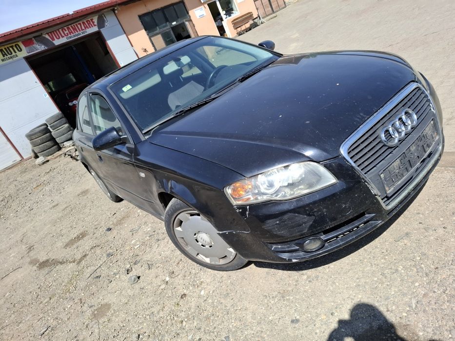Elemente Caroserie Audi A4 B7 Sedan 1.9TDi 85kw 116cp Tip BRB An2007