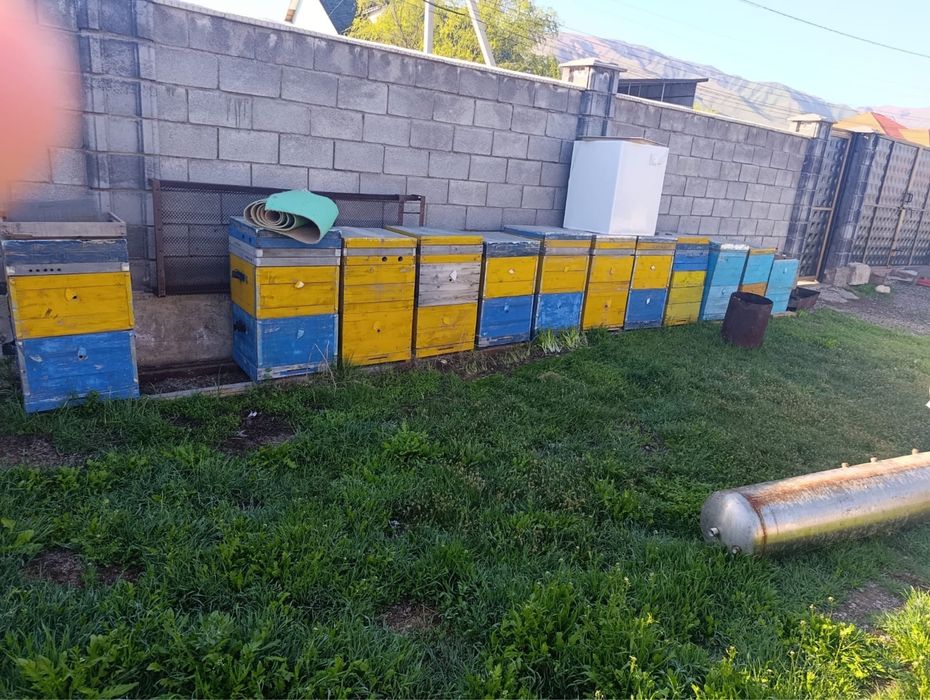 Продаются ульи