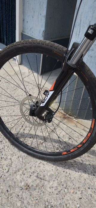 DRAG. Hardy 29 "