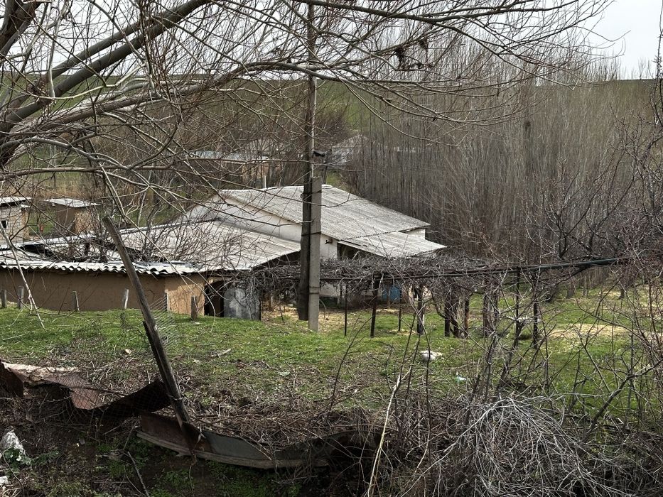 4 xona yashash uchun 4 xona tovuq juja va bol qoy boqsa buladigan joy