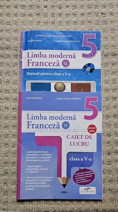 Manuale_Caiete de lucru_V, VI, IX (5,6,9)