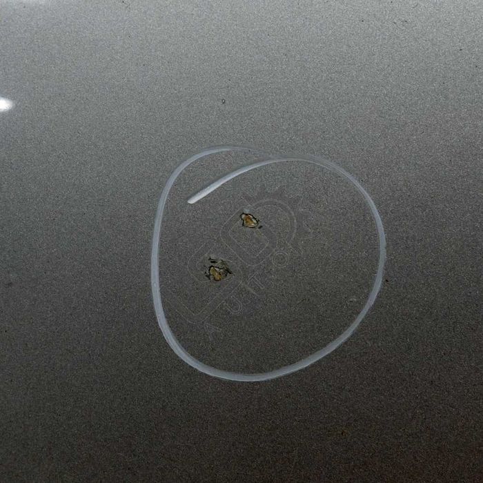 Преден капак AUDI Q5 (8RB) 2008-2012 ID: 135874