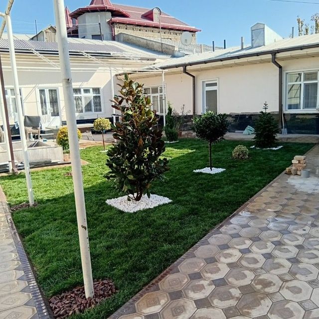 Tayor rulon gazon yotqizish uruğ ekish dekratif darax ekish