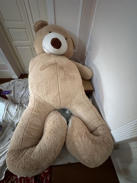 Teddy ayiq yangi  3 metr