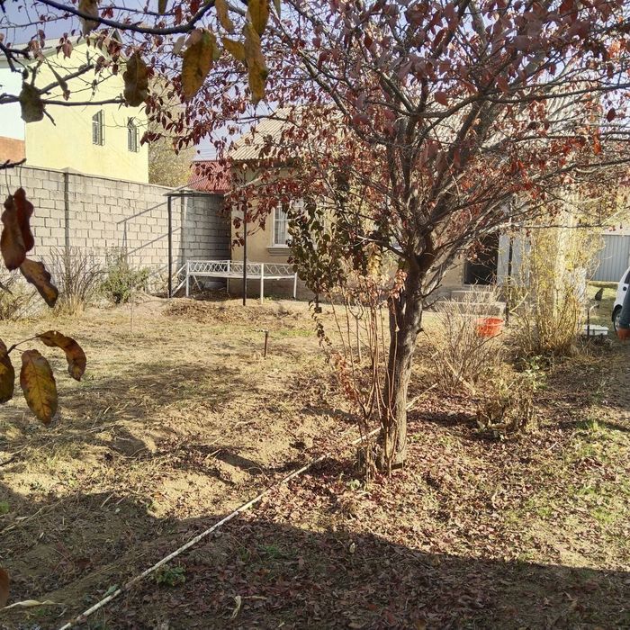 Продаётся дача Паркентский район СВТ Авиастроитель