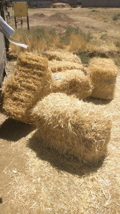 Сабан пресс  Сабан Салома Бидай сабан