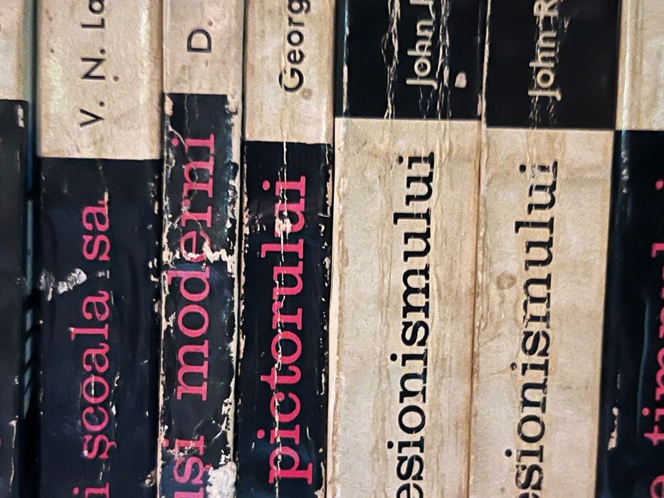 Colecție masivă Biblioteca de artă (550 volume) - Editura Meridiane