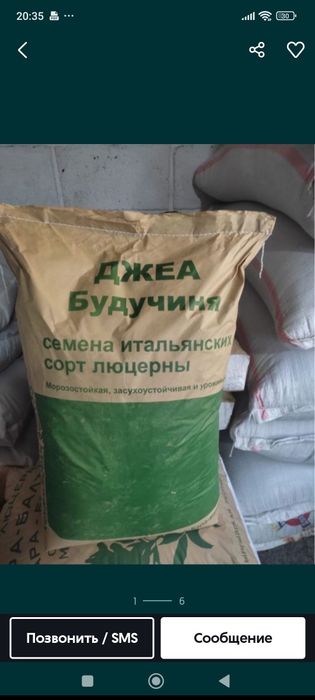 Жоңышқа (люцерна) ұрық.. Семенов люцерный