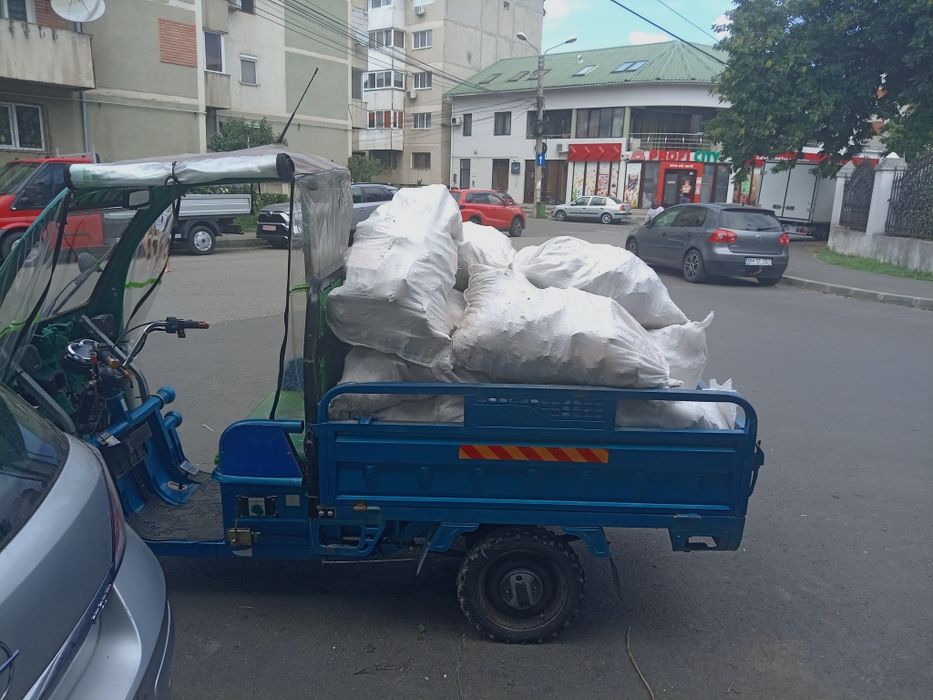 Fac debarasări în Timișoara