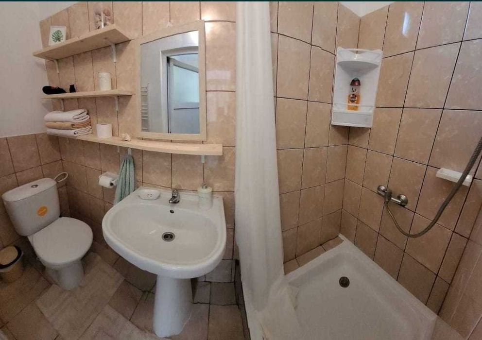 Apartament 1 camera de vanzare Timisoara, Iosefin