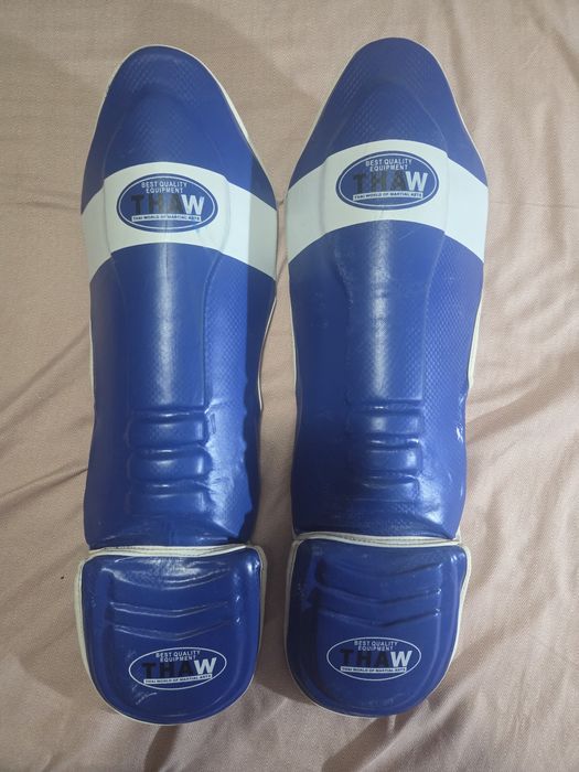 Tibiere MMA Thaw World of Martial Arts.