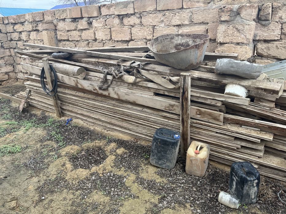 Ағаштар сатылады барлығы 80мың