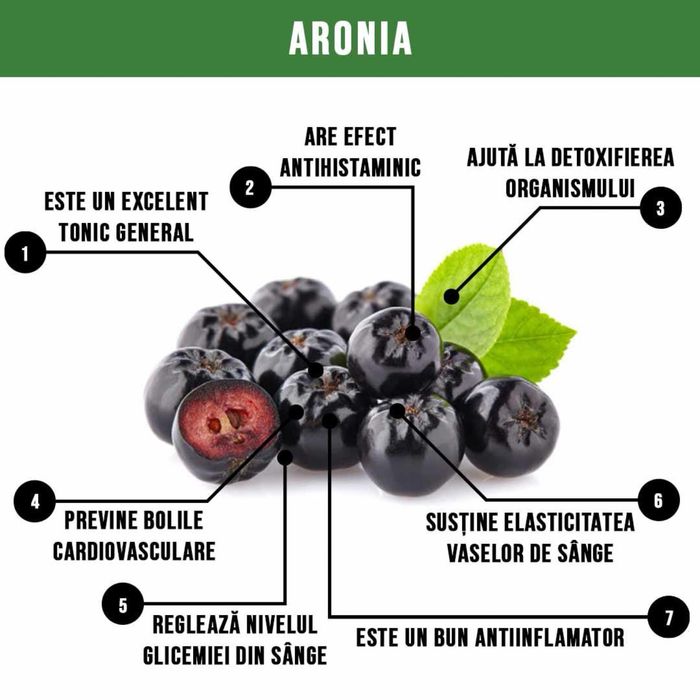 Suc de aronia 10L natural