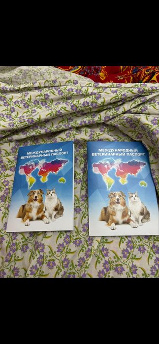 Продается щенок немецкой овчарки(девочка)