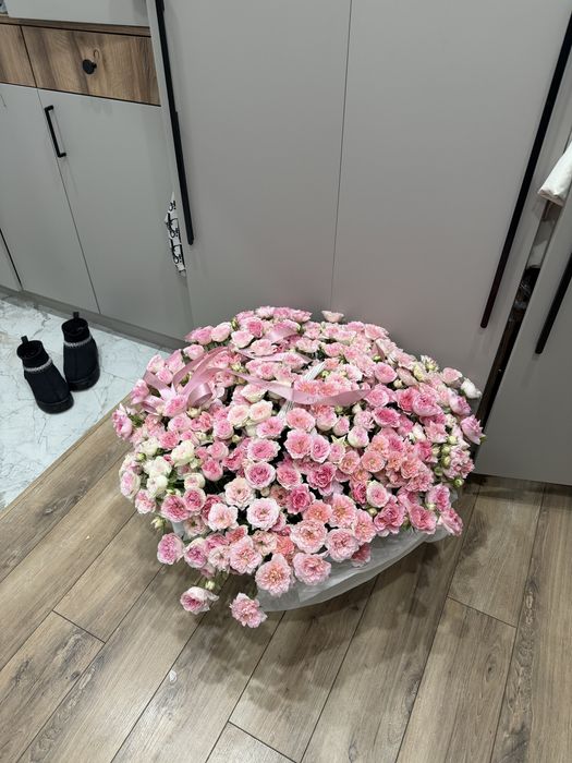 Продам цветы свежие красивые