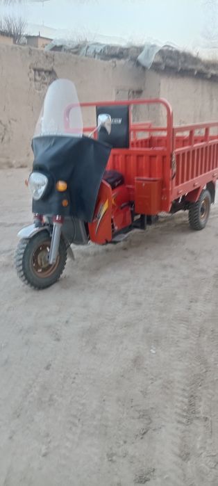 Lochin muravey srochni sotiladi