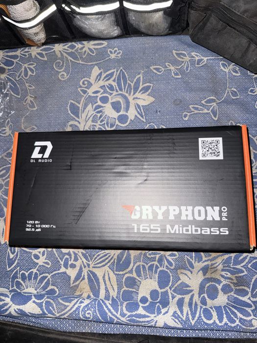 DL Audio 165 midbass