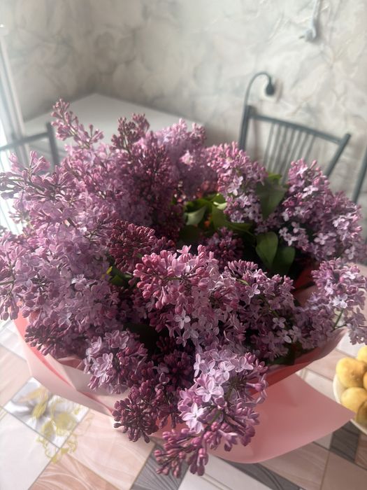 Сирень сегодняшнии