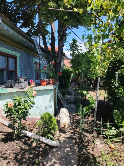 Casa Ploiesti 4 camere si teren 381 mp central