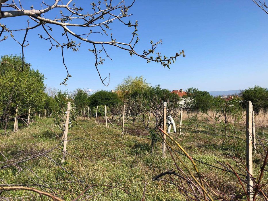 Продава се Парцел в с. Анево, Област Пловдив - 4000 кв.м за 4 €/кв.м - Снимка #3