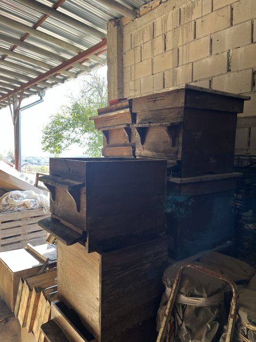 Кошери Дадан-Блат