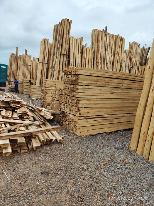 Terak mahsulotlari optim narhda