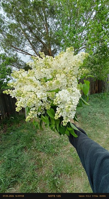 Дача ПК горняк продам
