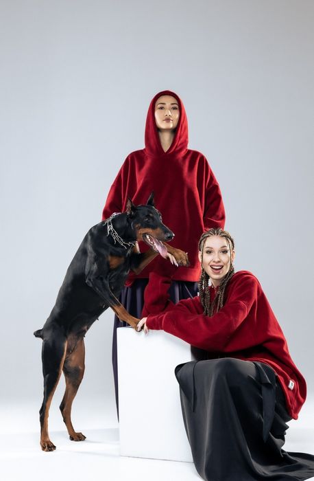 Доберман для фотосессии