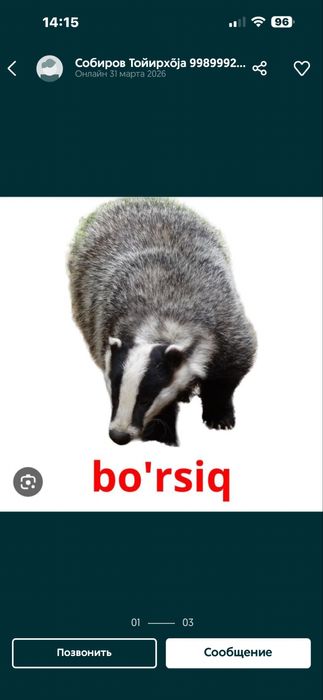 Bursuchniy jir gusiniy jir )₽₽₽₽