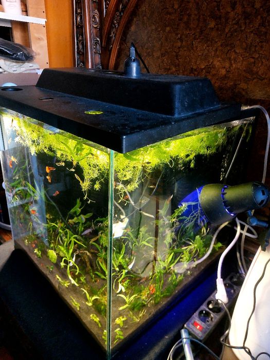 Аквариум 125 литров