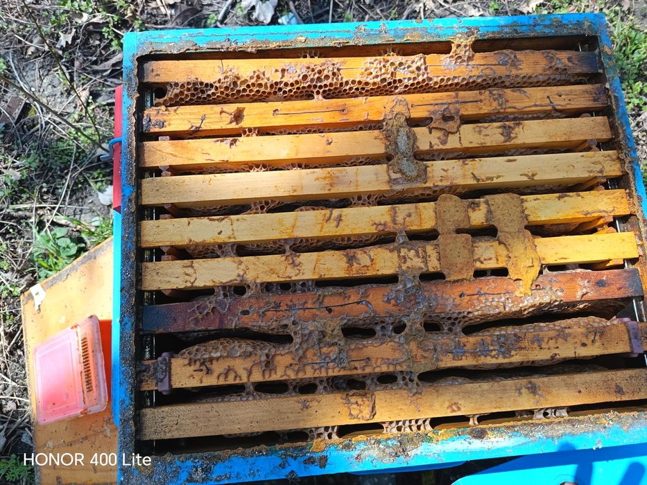 Пчелни кошери с рамки и мед