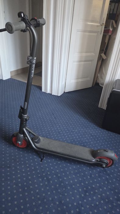 Vand trotineta Segway Ninebot ZING C20