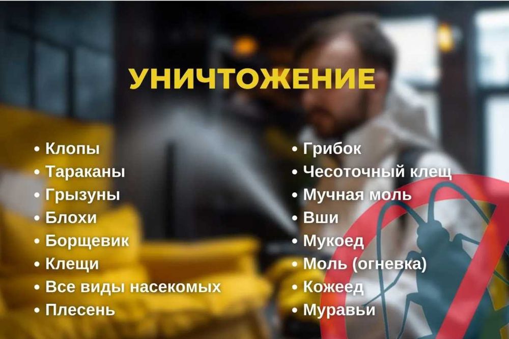 Dezinfeksiya klop tarakan Дезинфекция СКИДКИ до 40%