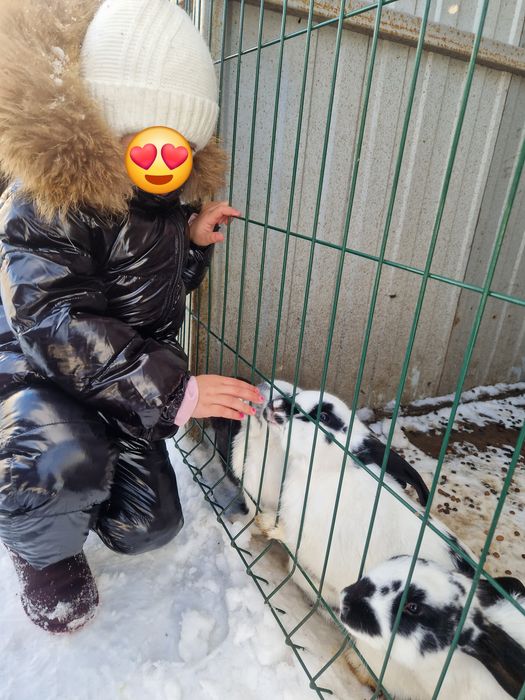 Продаётся тёплый зимний комбинезон для девочки