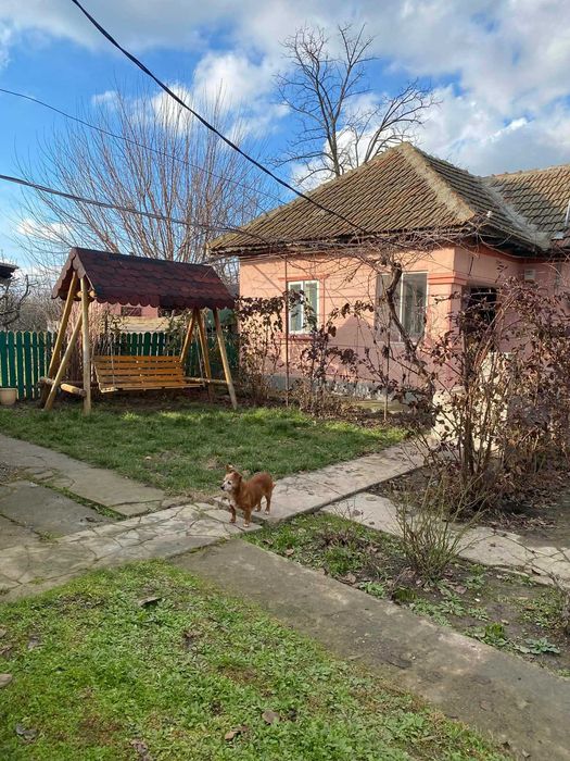 Casa de vanzare- Cobadin- Jud. Constanta- Teren 2200 mp