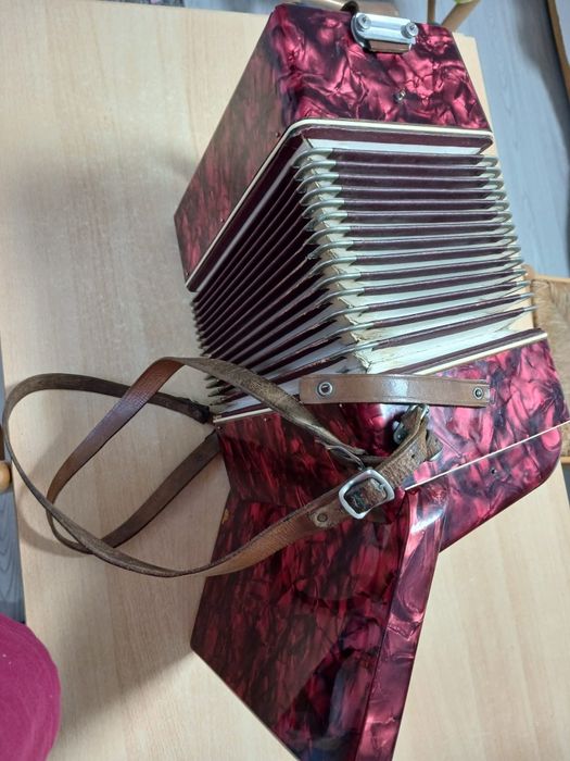 Vand acordeon weltmeister