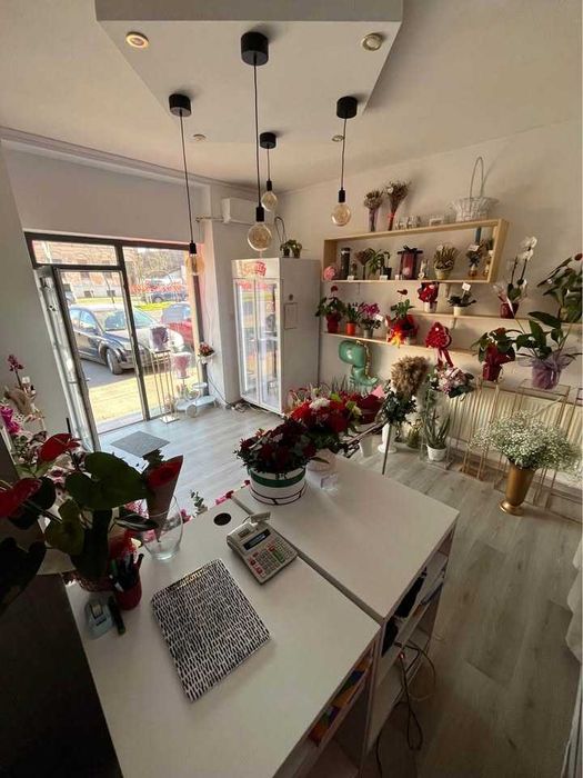 Vand afacere -FLORARIE