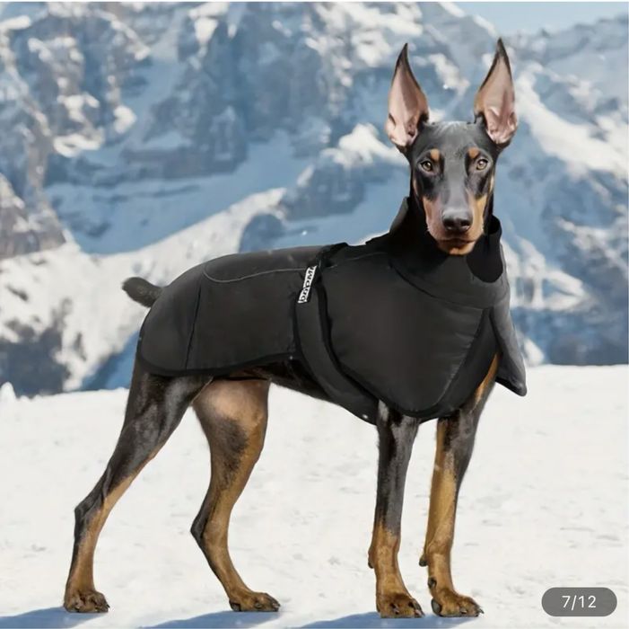 Одежда для собак и кошек! ОЧЕНЬ БОЛЬШОЙ ВЫБОР