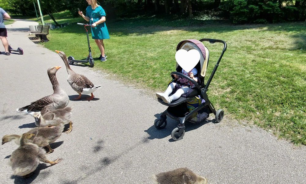 Бебешка количка 3в1 СПЕШНО