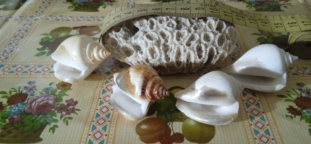 Аксессуар для аквариума цена за всё