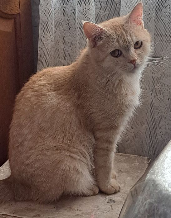 Девочка 2 года ищет семью